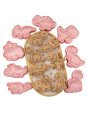 Cortadores y Prensa Para Galletas Dinosaurios: Plesosaurio, T-Rex, Brontosaurio, Triceratops, Velociraptor 16 Pzs Cortadores y Prensa Para Galletas Dinosaurios: Plesosaurio, T-Rex, Brontosaurio, Triceratops, Velociraptor 16 Pzs