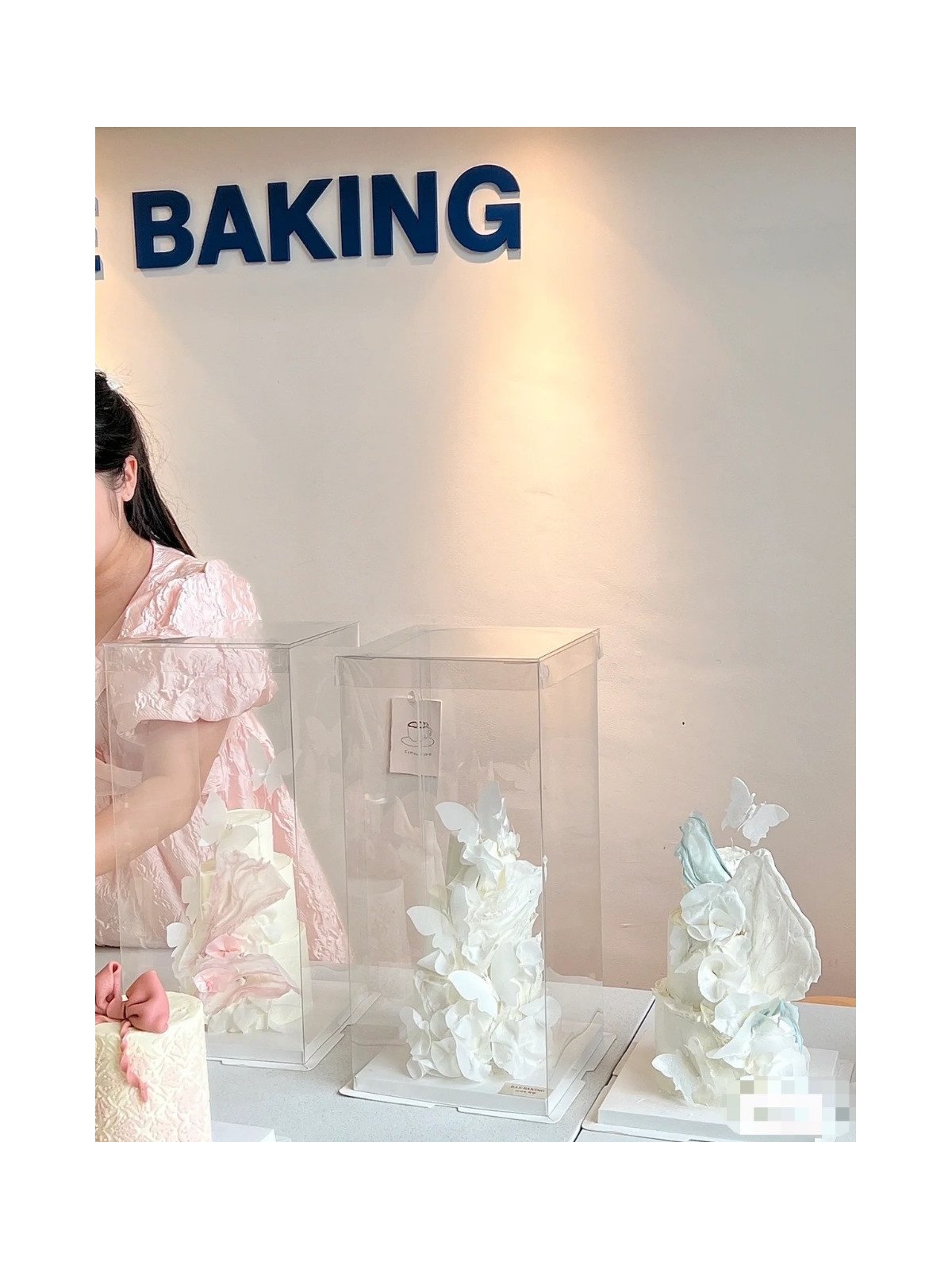 Caja Alta Transportadora Para Pastel De Acetato Con Base Cuadrada