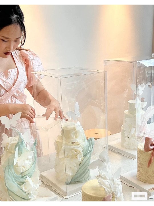 Caja Alta Transportadora Para Pastel De Acetato Con Base Cuadrada