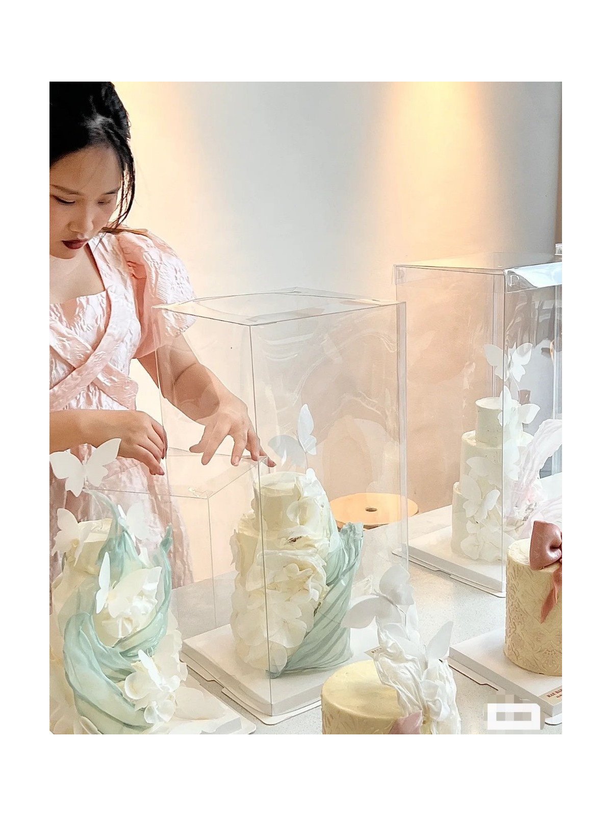 Caja Alta Transportadora Para Pastel De Acetato Con Base Cuadrada