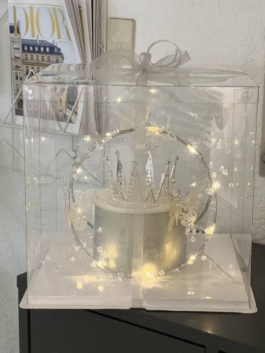 Caja Alta Transportadora Para Pastel De Acetato Con Base Cuadrada