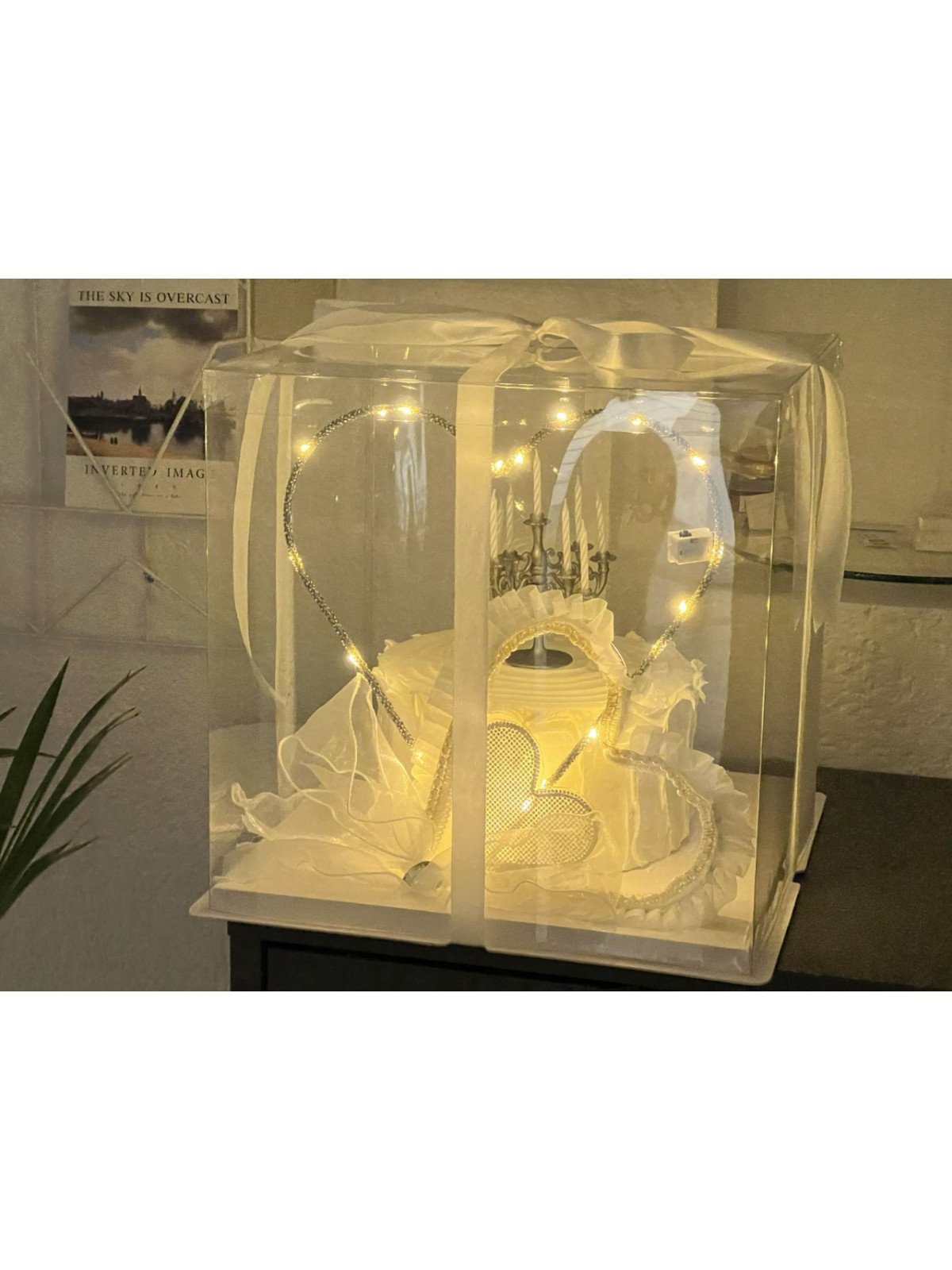 Caja Alta Transportadora Para Pastel De Acetato Con Base Cuadrada