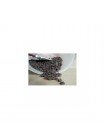 Chocolate Van Leer Amargo Cacao 73% 1 Kg Reembolsado