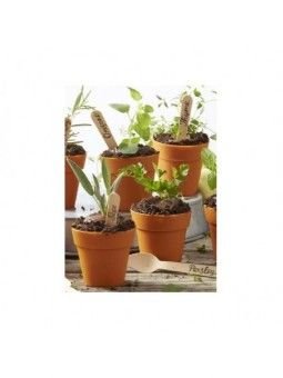 Capacillo De Silicón Wilton Maceta De Barro 12 Pz