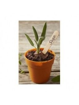 Capacillo De Silicón Wilton Maceta De Barro 12 Pz