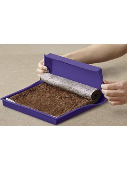 Molde De Silicón Para Pastel Relleno Wilton 23x33x2.5cm Swiss Roll Pan