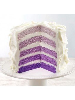 Juego de 5 Moldes Redondos Para Pastel De Capas Ø15x2cm