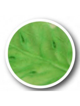 Matizador Tono Hoja Color Olivo 8 Grms Ma Baker And Chef